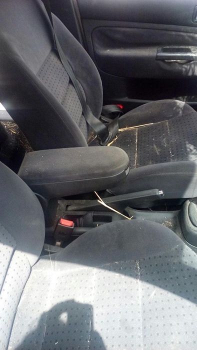 Фолсваген голф 4 volkswagen golf 4 1.4 16v само на части