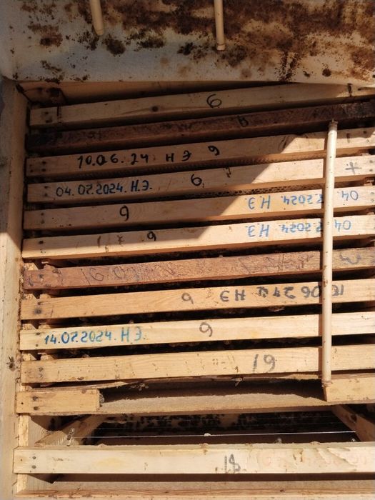 Асалари оиласи сотилади