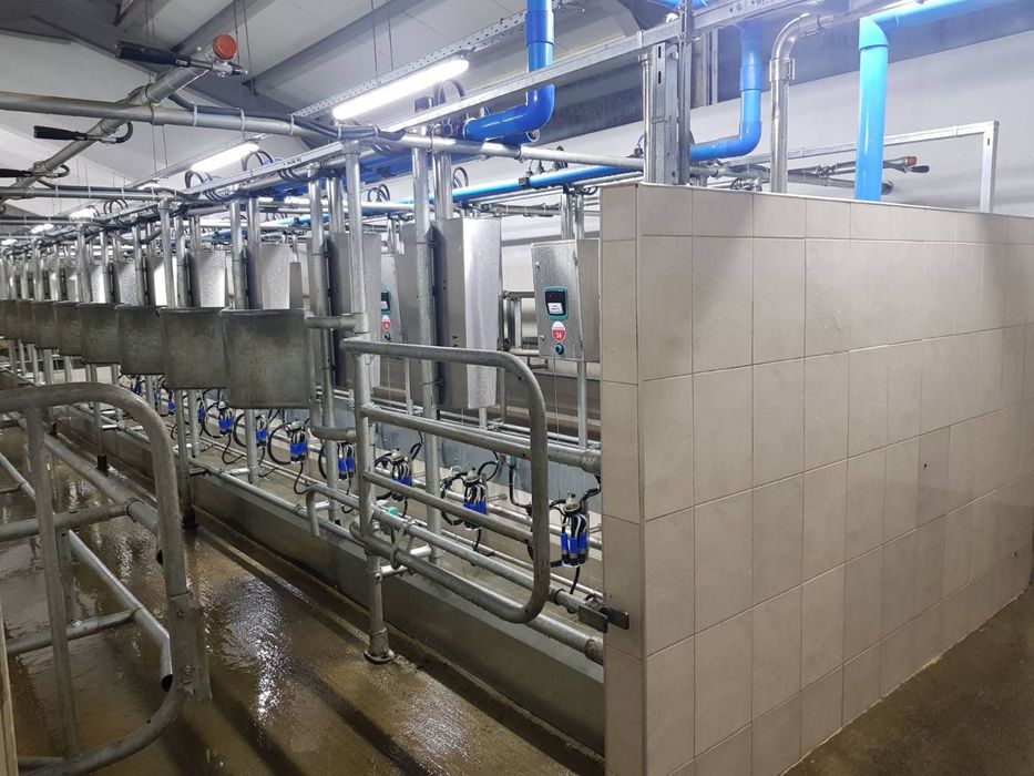 Доилна зала за крави