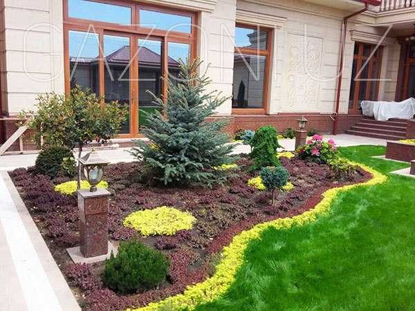 Газон. Арча. Манзарали дарахтлар,  гуллар. Лантшафт. Арзон