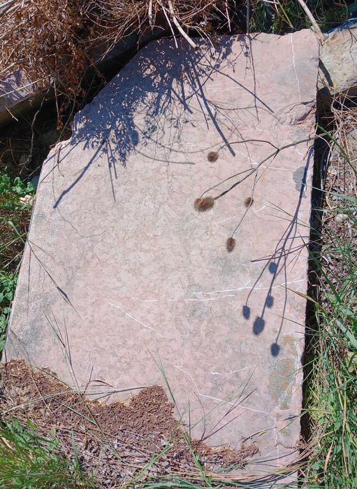 Bloc lespede din marmura roz 1 m. lung 10 cm. gros