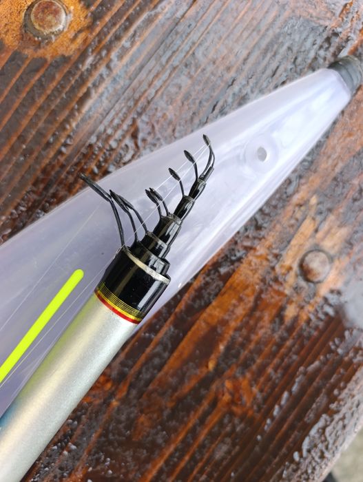 Болонеза Miterson 5