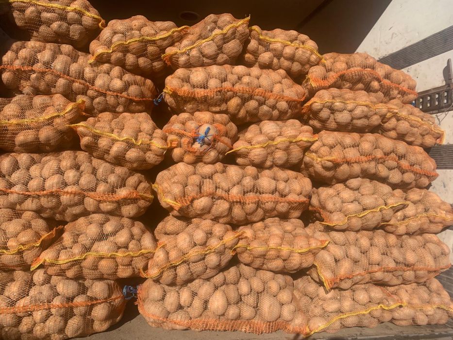 Cartofi  consum  Alb și Roșu (0,8 lei)