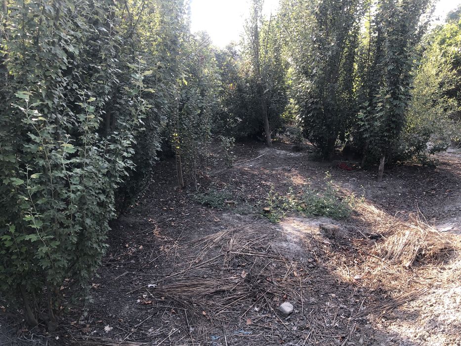 ARZON NARH Hovli joy quruq yer bahosida