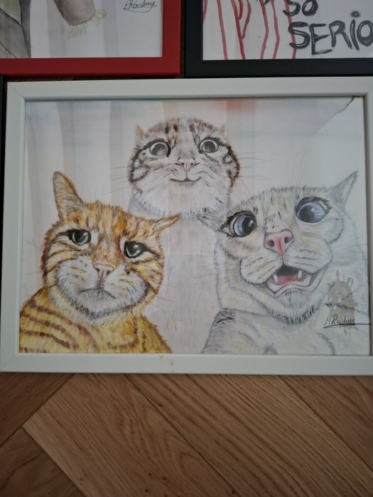 Tablouri acrilic sau in creioane colorate