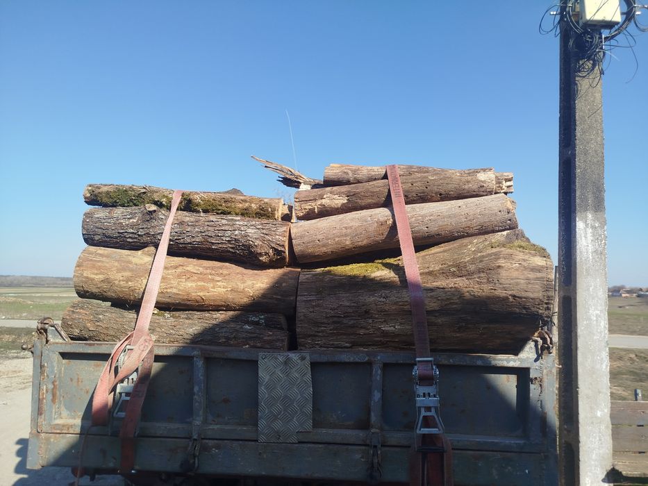 Lemne de foc esență tare