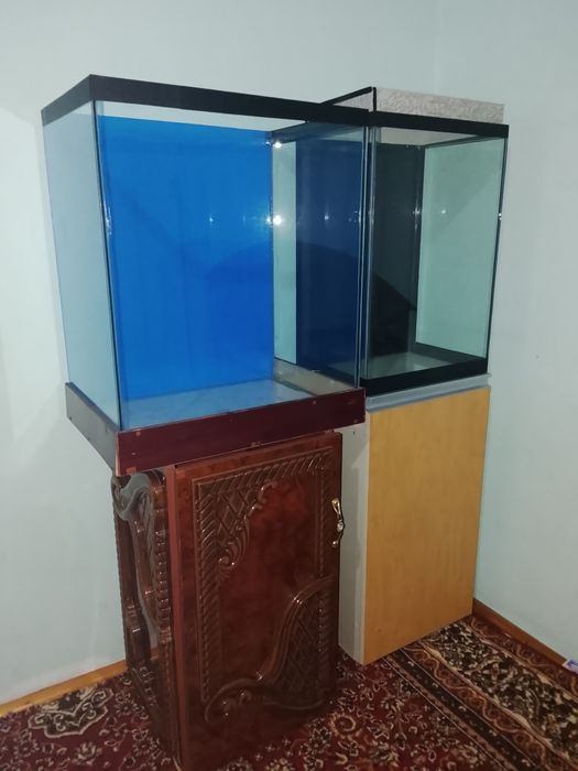 Akvariumlar sotiladi