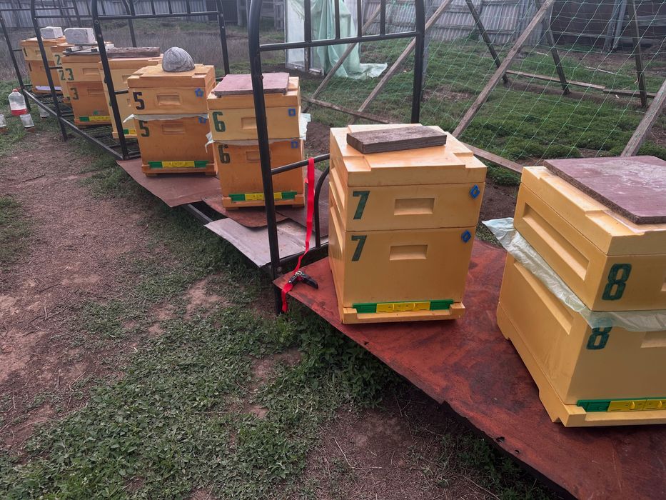 Жері үлкен үй сатылады