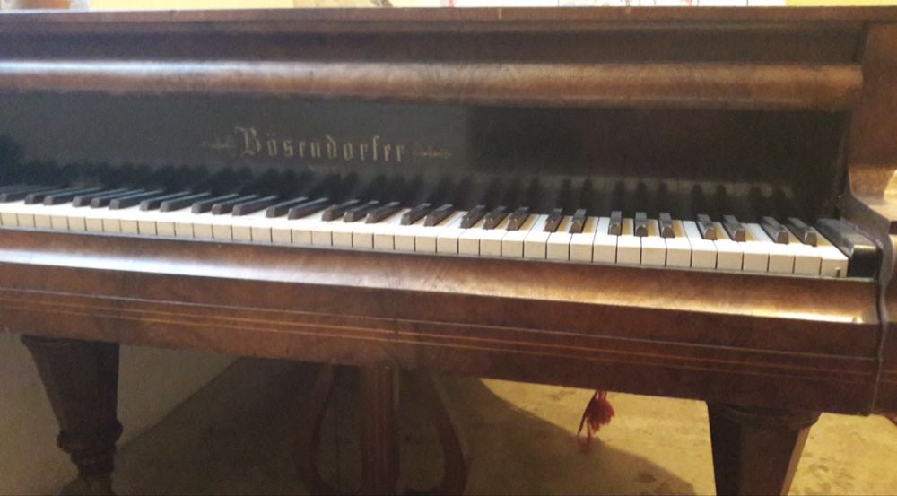 Pian Bösendorfer
