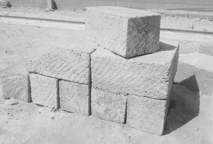 Ракушка Ракушняк Ракуша блок