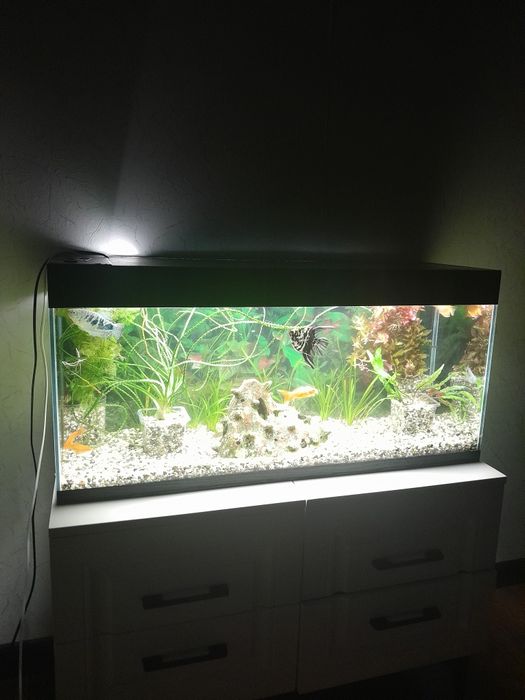 Продам новый аквариум