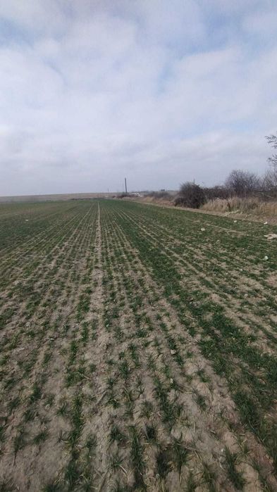 Teren Albota / zona Statiune - Papillon / 10.000 mp / Deschidere 142 m