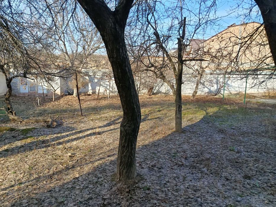 Uy , Er (Участка) 6 sotih Qibray Ziyokorlar  ko'ch.