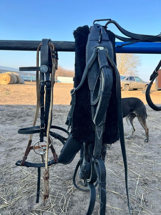 Продам рысистую сбрую качалку