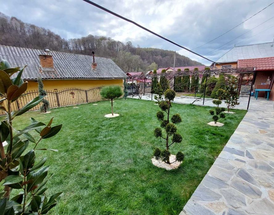 Soluții Verzi pentru Grădină – Gazon de Elită și Montaj Rapid