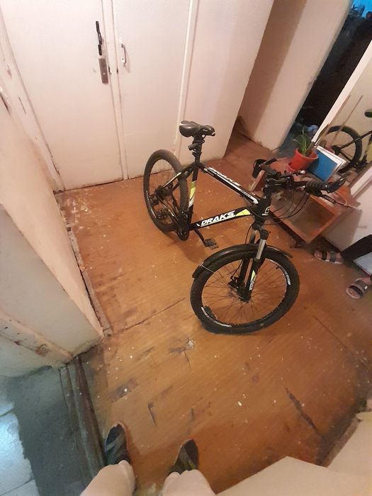 Velsapet goncik draks