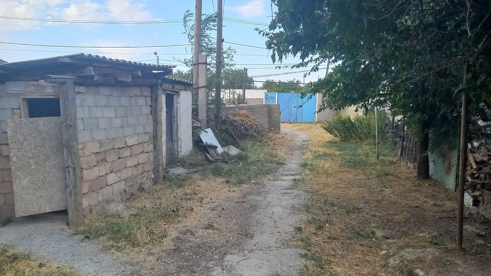 Продается том с участком семьсот на участке есть Вина ократник яблони - Widok 2