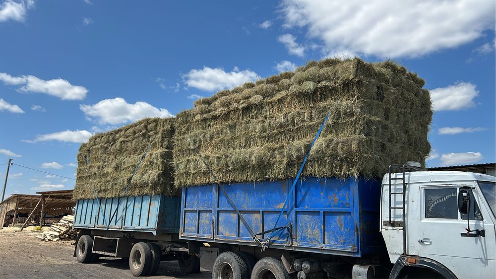 Продам сено свежи покос