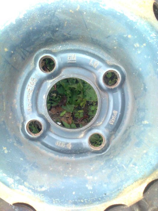 зимни гуми с джанти