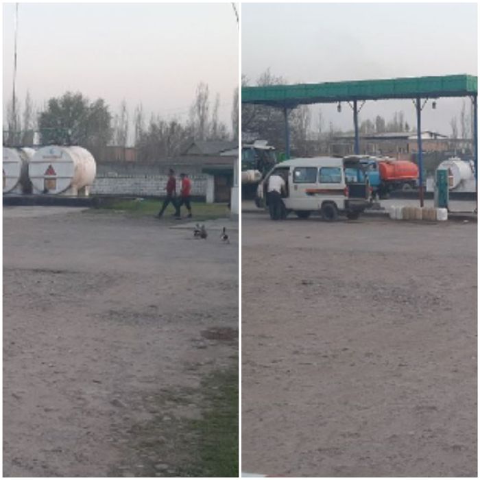 Заправка Туй тепа 26 соток