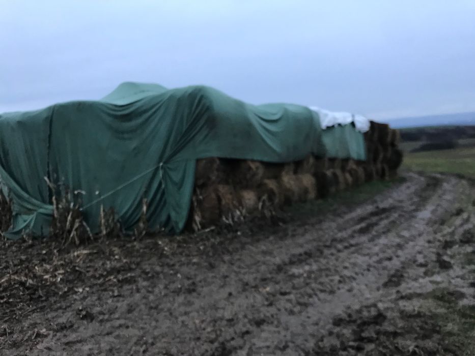 Vând baloți fan 650-850 kg