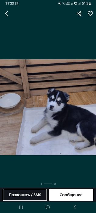 Отдам в добрые руки