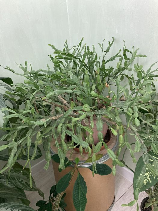 Распродажа!!