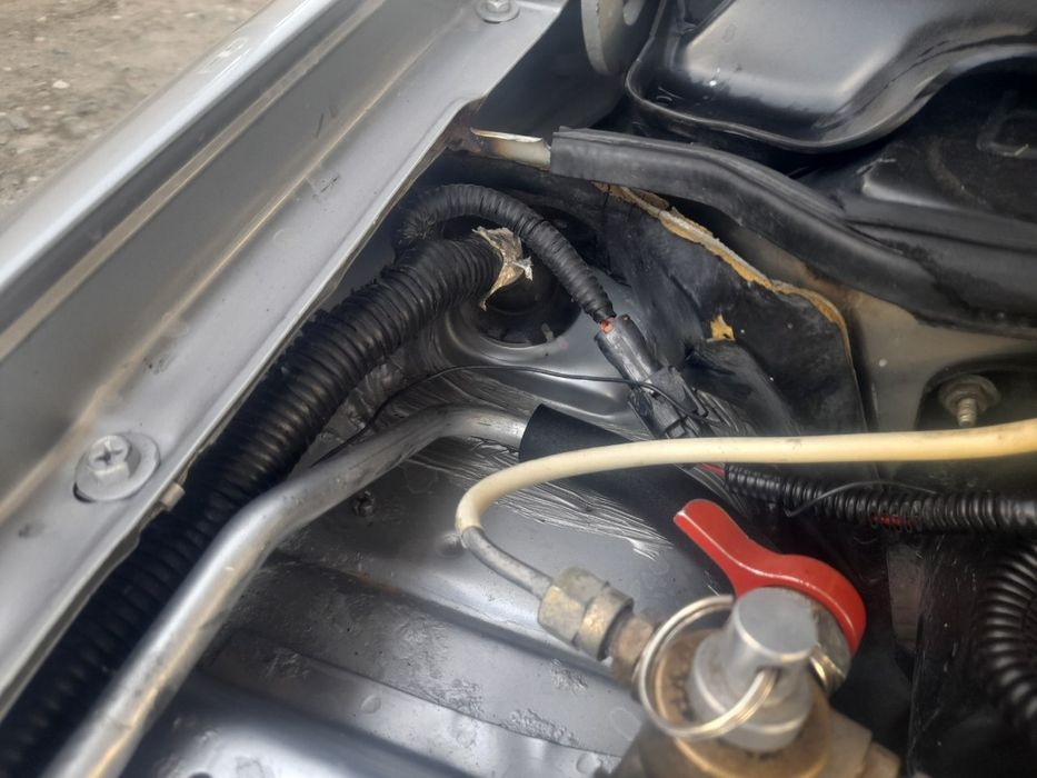 Нексия сонс идеялни 2003