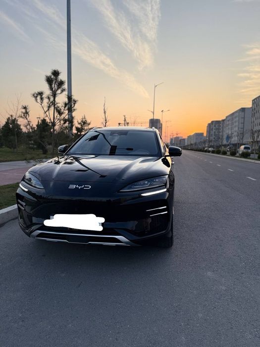 BYD chempion Honir