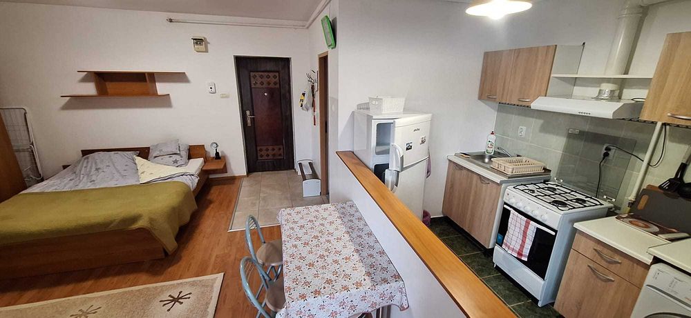 Apartament 1 camera