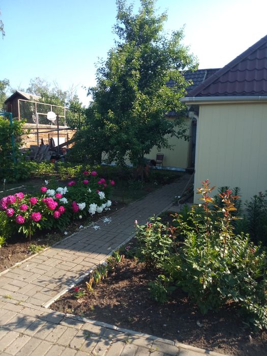 Продам дом в дачном обществе Садовод