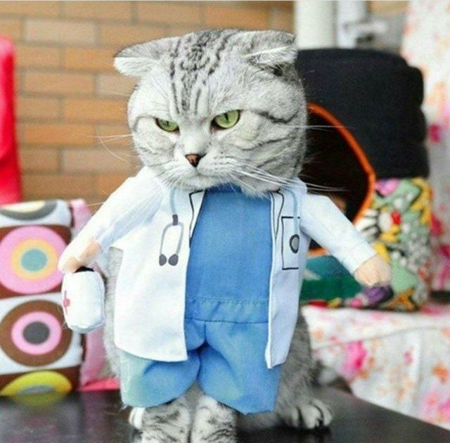 Ветеринар Дмитрий , Терапевт!