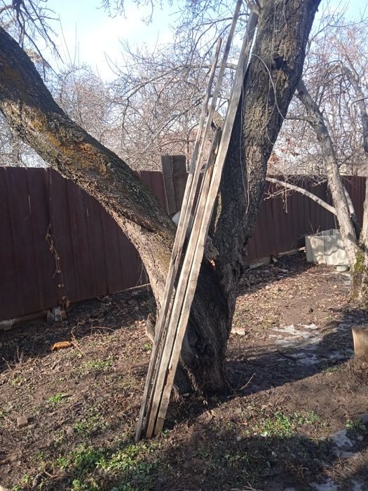 Отдам бесплатно дрова