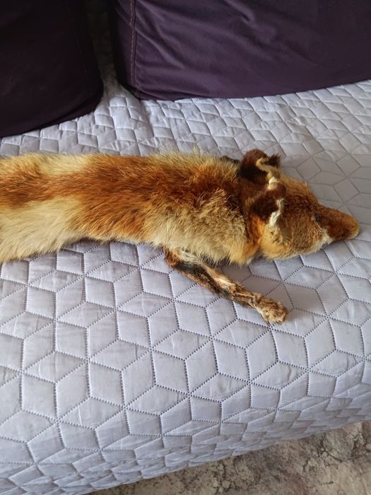 Яка от естествена лисица