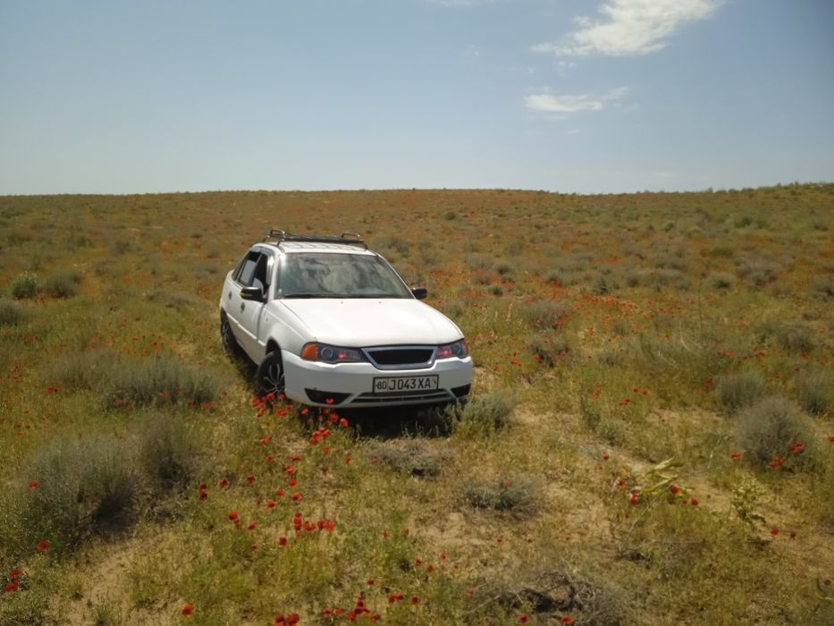 Nexia 1 xolati zoʻr