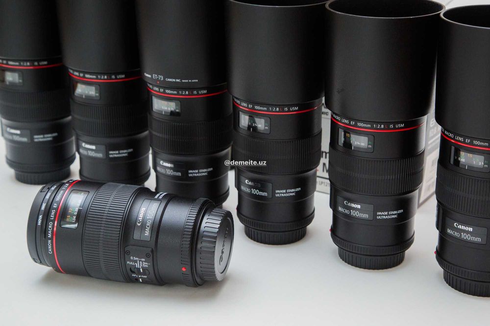 Canon EF 100mm f/2.8L Macro IS USM