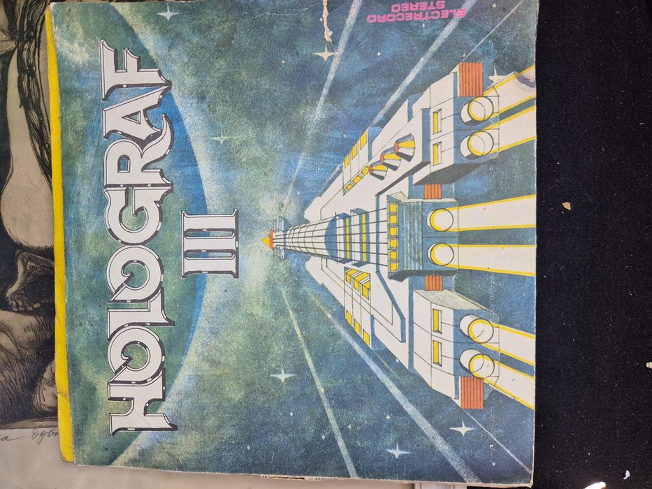 Lot  Placi       vinil