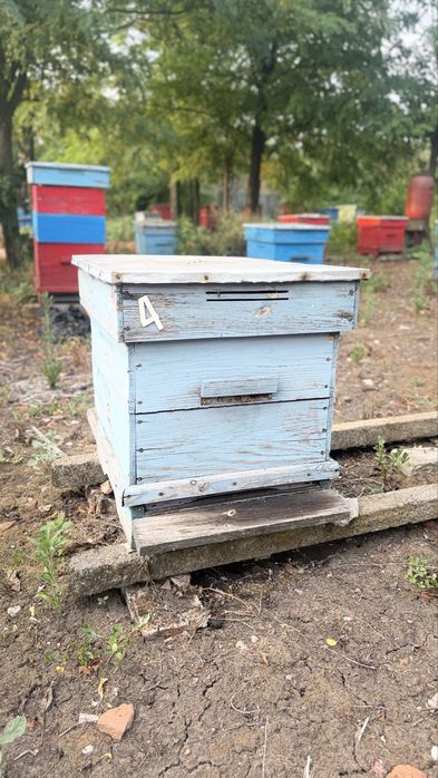 Пчелни кошери  и рамки