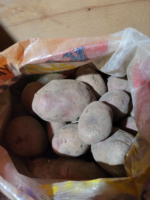 Продам картофель домашний, очень вкусный
