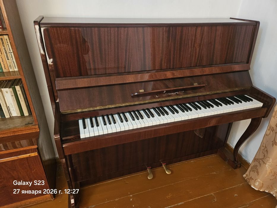 Пиянино марка ласточка как новое