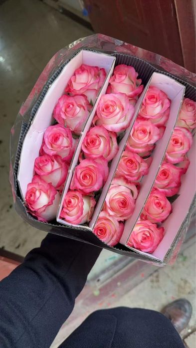 Розы оптом 65 см