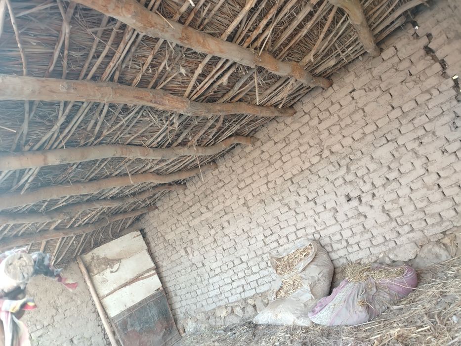 Уш болели мал кора сатылады