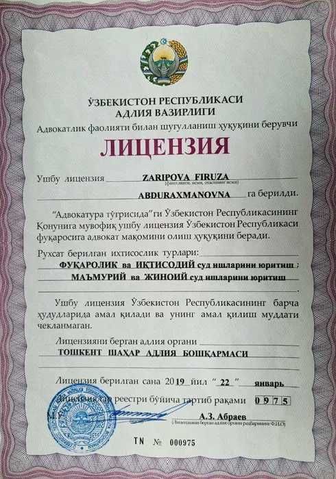 Адвoкaт пo cемейным и иным грaждaнcким делaм. Стaж бoлее 40 лет