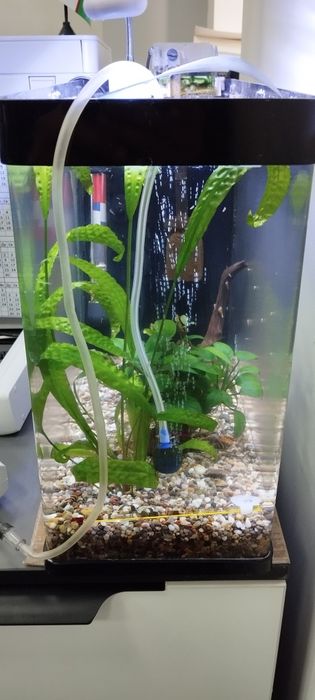 Акрил аквариум 20 л