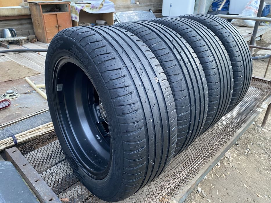 Торус титанка торес титанкы титанки