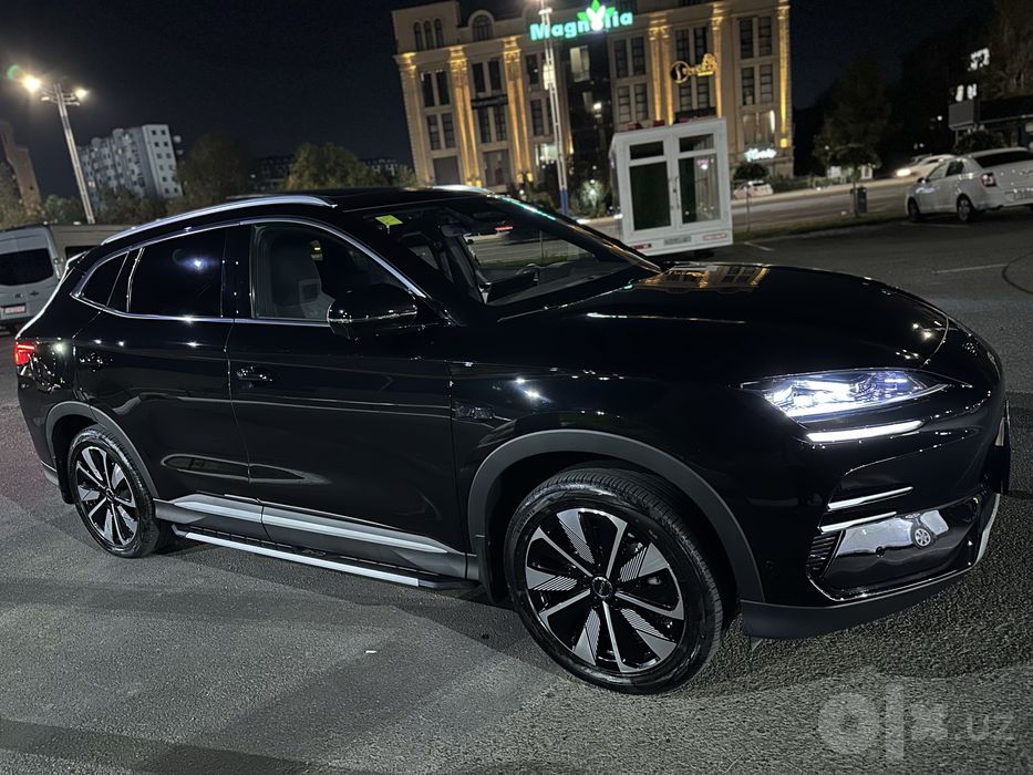 BYD chempion smart