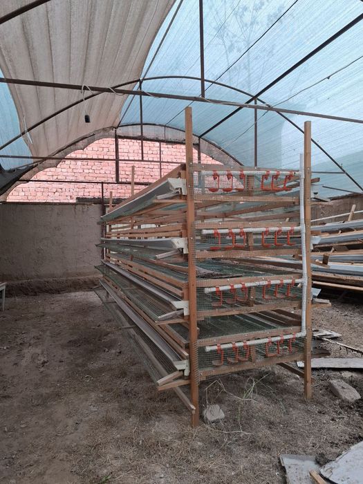 Tug'adigan bedanalar uchun qafas har bir etajiga 200 ha bedana ketadi