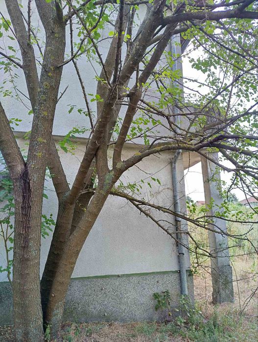 Продава се Къща в Бургас, Братя Миладинови - 123456 кв.м за 1 €/кв.м - Снимка #8