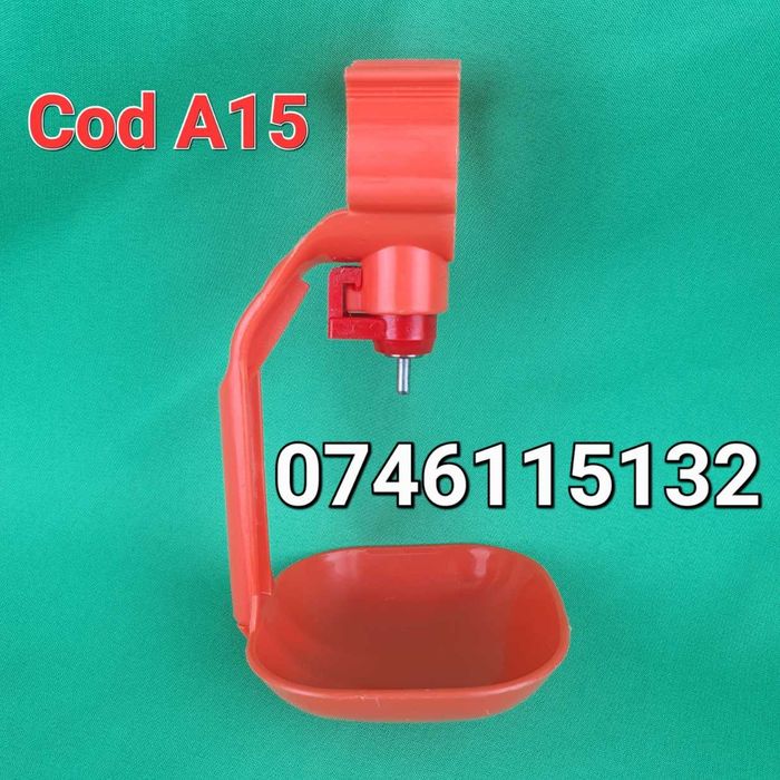 Gaini fazani curci fazani pasari rate paun-ADAPATORI PUI Cu Tavita-A15