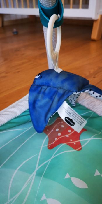 Активна гимнастика за бебета Tiny love Gymini 2in1 Tr